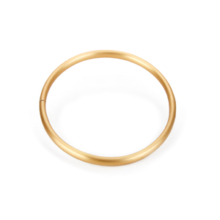 Halsreif rondo golden Goldener Halsreif aus eloxiertem Aluminiumrohr. Zwei Halbkreissegmente sind durch ein dickes Gummi verbunden und können mittels eines Magnetverschlusses geöffnet werden